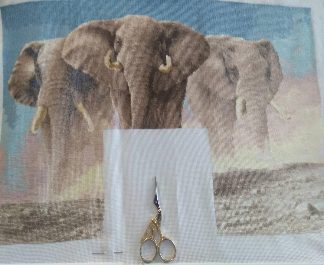 Изображение к отзыву @vorlova12