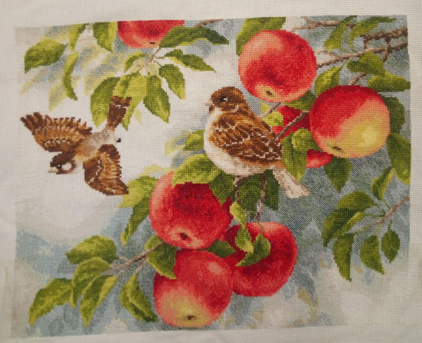 Изображение к отзыву Надежда Воротынцева